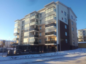 Kaarnikkarakka Apartment, Rovaniemi